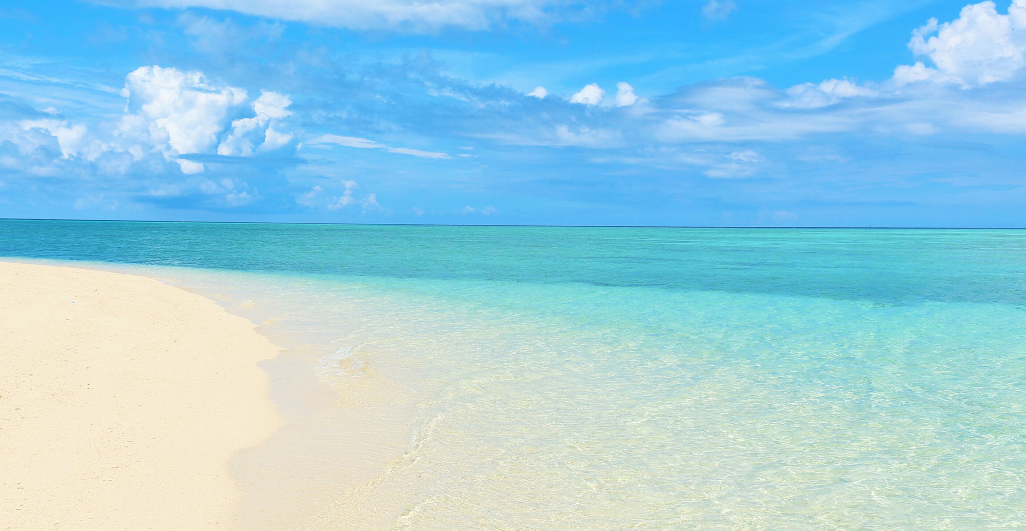 沖縄の不動産買取・売買・土地活用はお任せください  土地　中古住宅　マンション　アパート　その他 最短一週間で契約可能！ まずは無料相談　098-800-2585